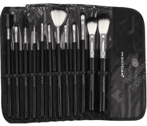 Kit com 12 Pincéis+Estojo Macrilan